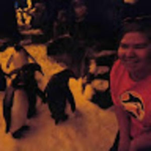 Meet your Posher, Katherine